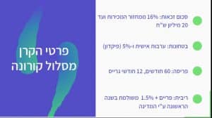 הלוואות בערבות המדינה